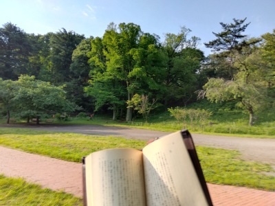 公園で読書