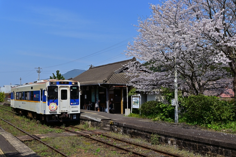 桜紀行2023・蔵宿駅(6)