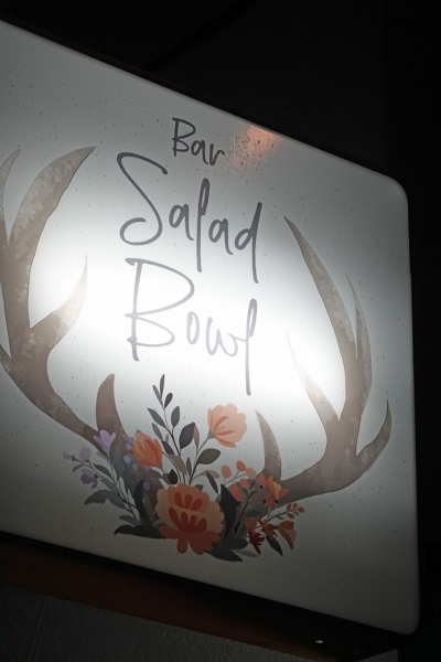 Bar Salad Bowl(3)001