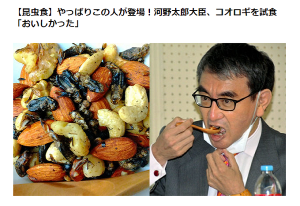 最近、河野太郎（コオロギ太郎）らが推奨し始め、日本政府も補助金（予算）を付けようとしているコオロギ食などの昆虫食は意味が無いし、それどころか危険だ！