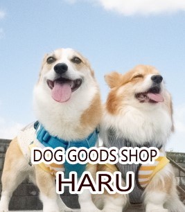 DOG GOODS SHOP HARU