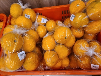 沼津産の柑橘類 (3)