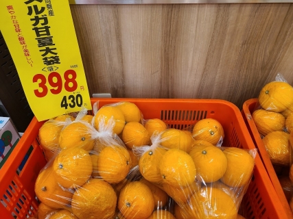 沼津産の柑橘類 (2)