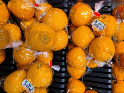 沼津産の柑橘類 (1)