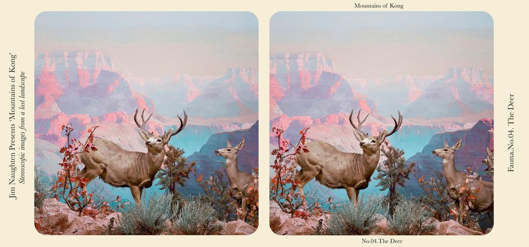 アーティストJim Naughtenジム・ノーテンのシリーズ「コング山」から「鹿」と名付けられたステレオグラフ(2017年)