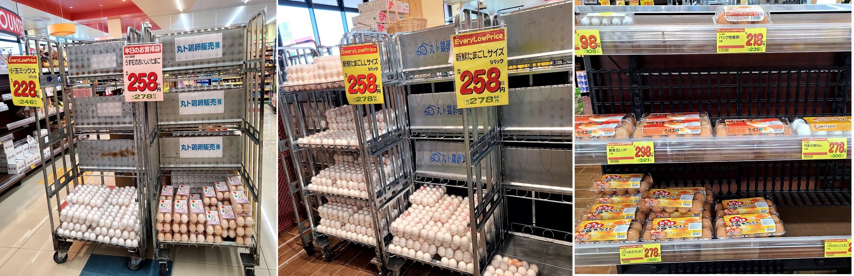 ビック富士2023年5月1日卵が最安値