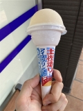 久保田の土佐造りアイスクリンコーン