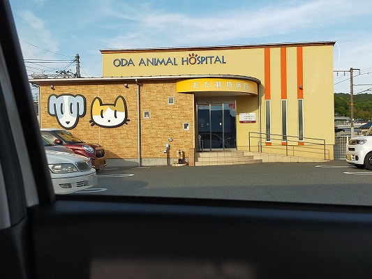 おだ動物病院