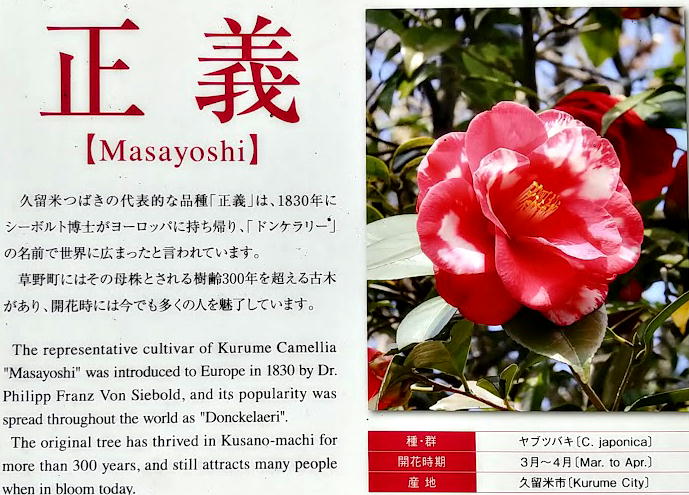 masayoshi2.jpg