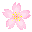 桜のボタン素材