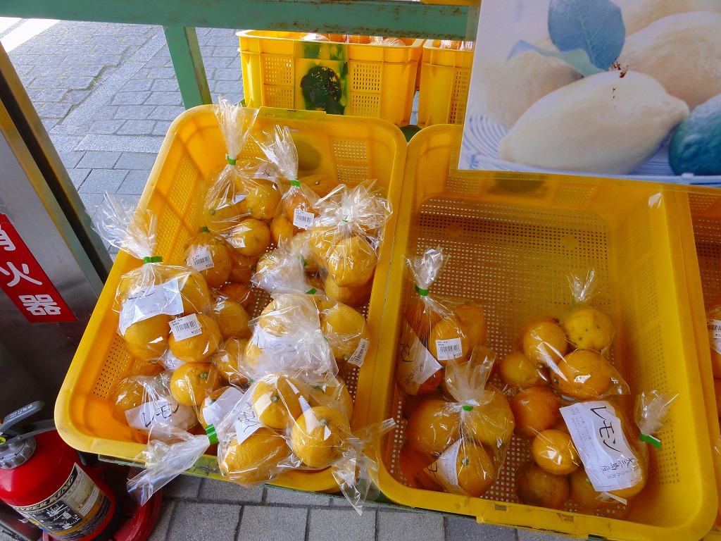原付（GZ125HS)でレモンとキムチを買いに行ってきた。2023　しまなみ海道
