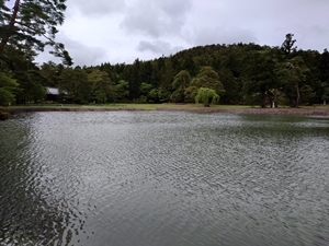 池の西側