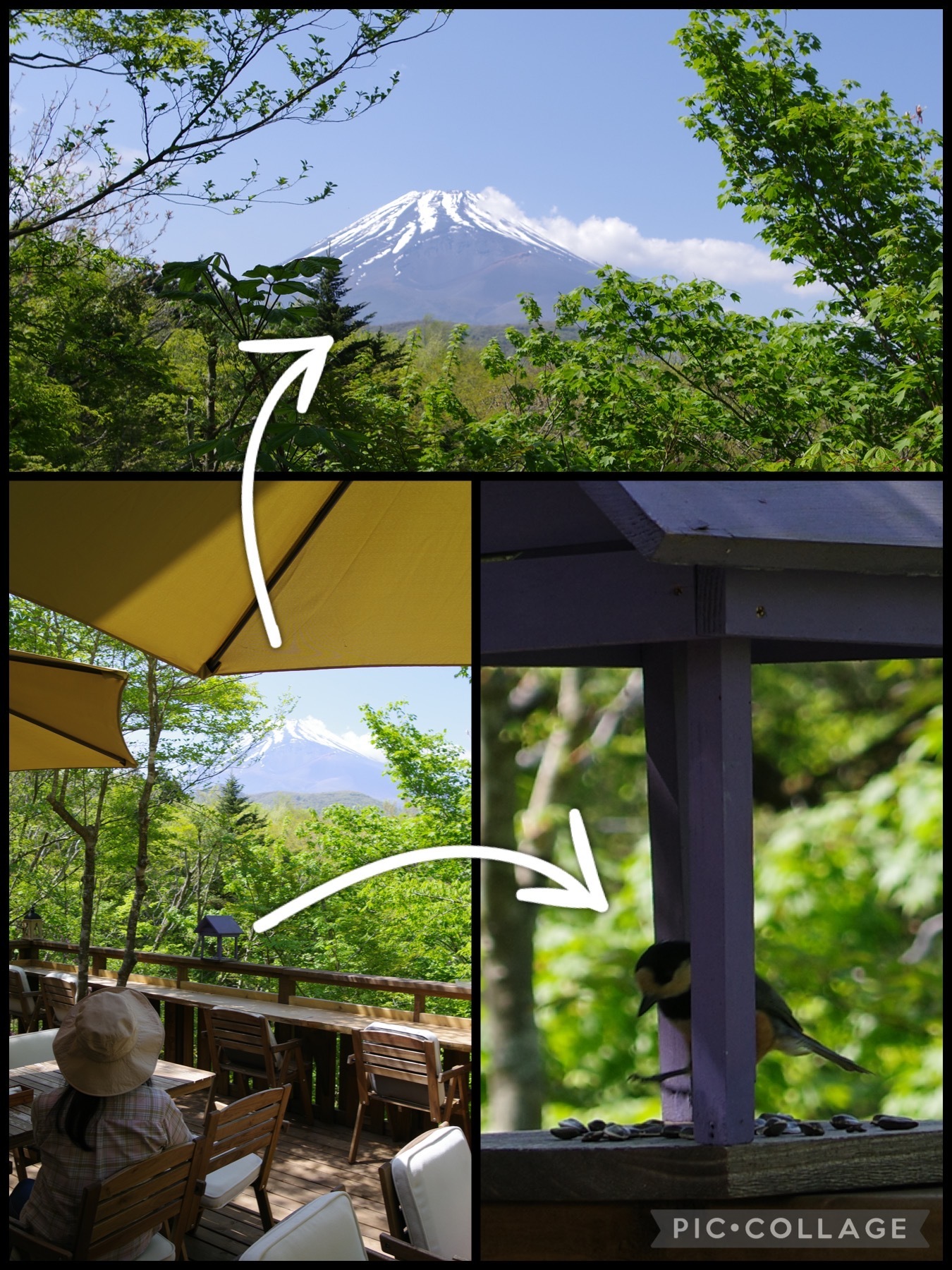 静岡裾野市十里木　nature cafe ネイチャーカフェ　富士山