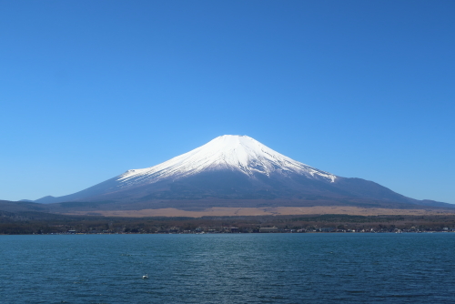 富士山周遊230410 (13)