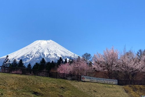 富士山周遊230410 (34)