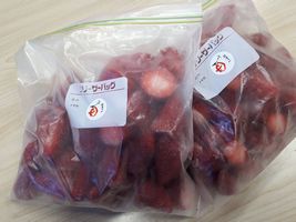 【写真】ポレポレ苺の凍りいちご２袋（２㎏）
