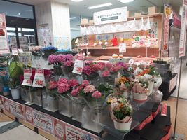 【写真】ポレポレ苺の売り場前に設置された特設花売り場