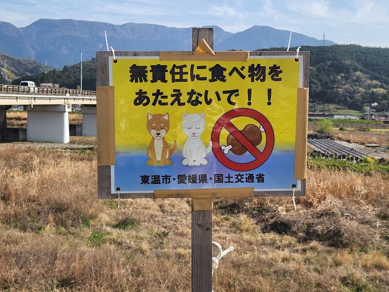 東温市の写真⑦拝◯大橋のそばに「無責任に食べ物をあたえないで！！」の看板が設置されていました。