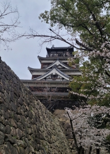 広島城と花見1