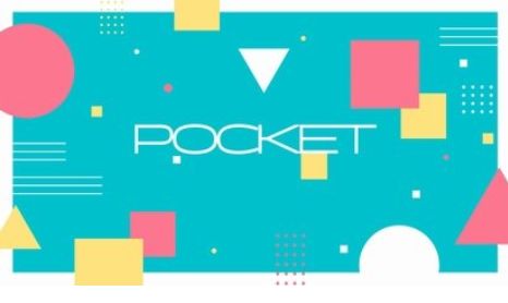【pocket/ポケット】YOUNG VIBE SYSTEM MAKE COMPANY 詐欺
