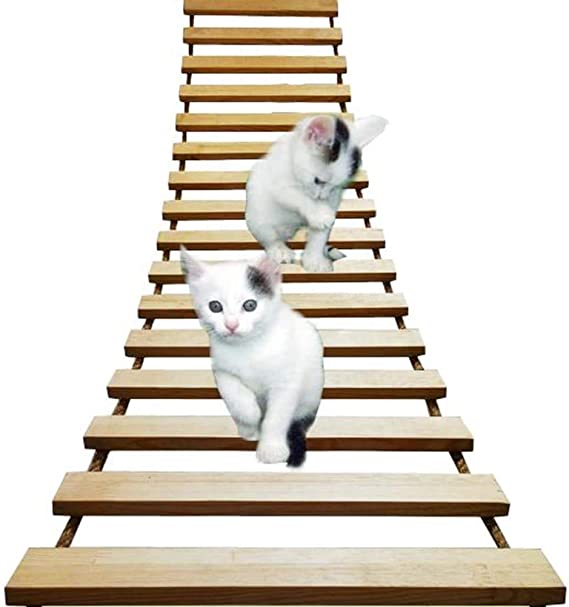 吊り橋を渡る2匹の猫