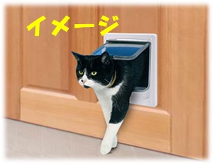 cat_door.jpg