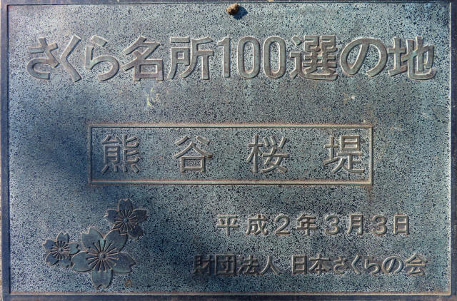 熊谷桜堤230320