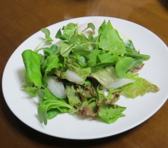 カイワレ（ダイコン）入り生野菜サラダ
