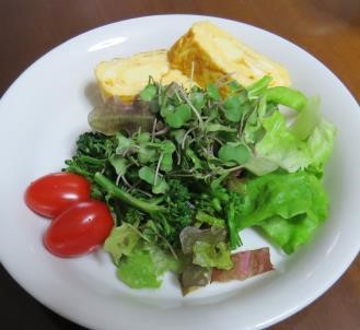 カイワレ（ブロッコリー）入り生野菜サラダ